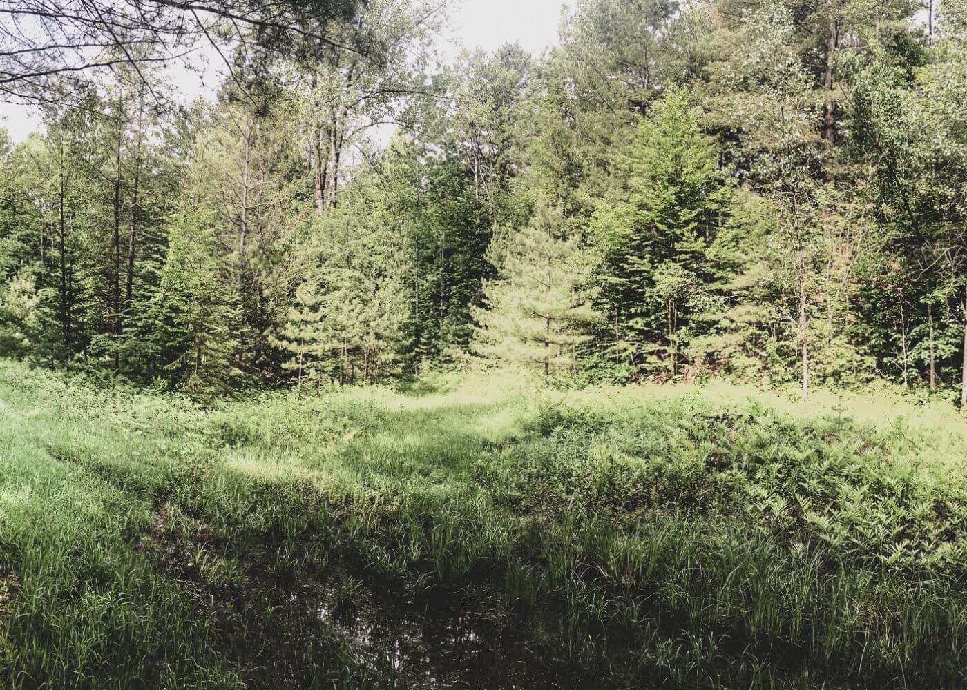 CampDeBase-terrain-estrie Choisir son terrain - Campdebase