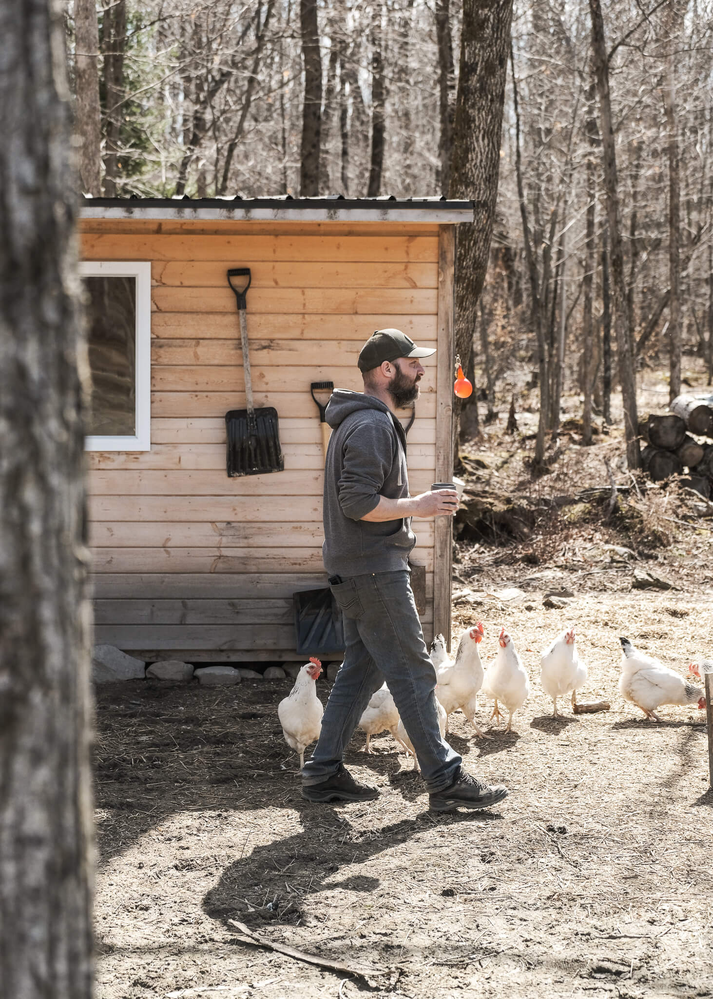 Homme avec poules - Maison off grid