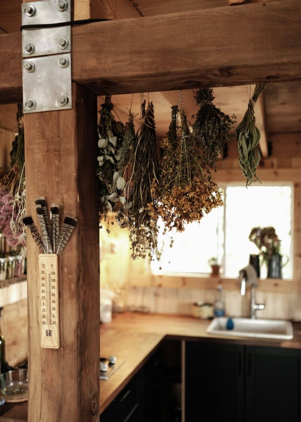 cuisine-maison-off-grid-sacha-camp-de-base Cuisine de maison