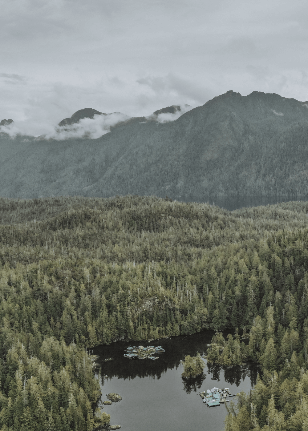 île flottante au large de tofino