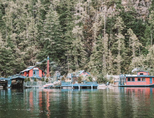 Habitation alternative: la vie sur une île flottante