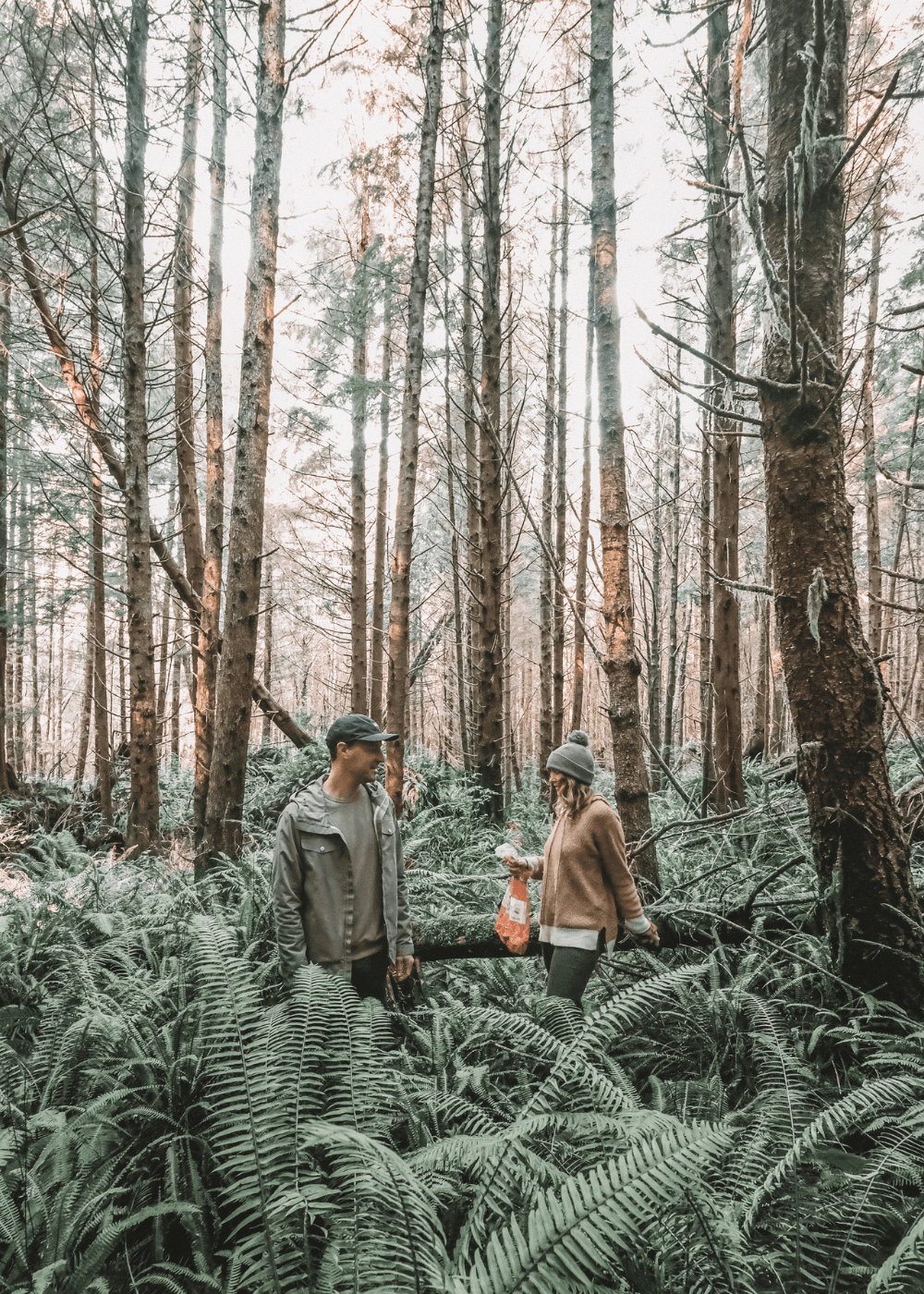 homme et femme cueillette dans le bois - vie sur une île isolée