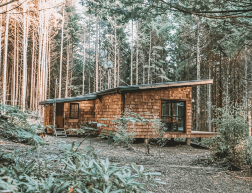 Habitation alternative: la vie sur une île isolée